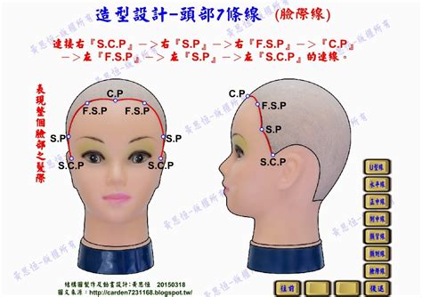 曇花修剪 頭部七條基準線